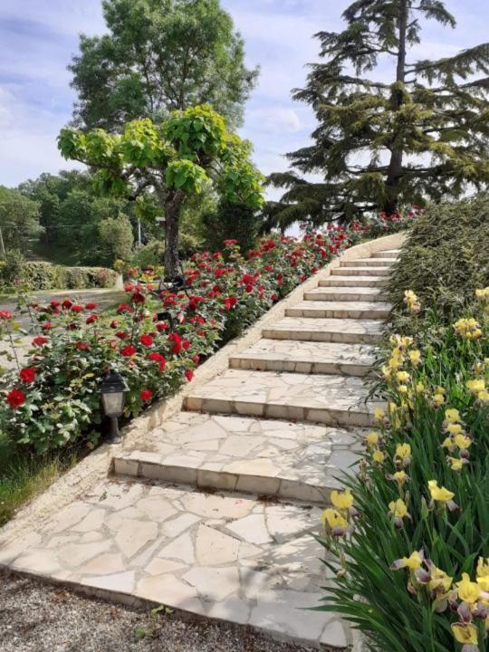 Gite de La Cheneraie Montpezat-de-Quercy Esterno foto